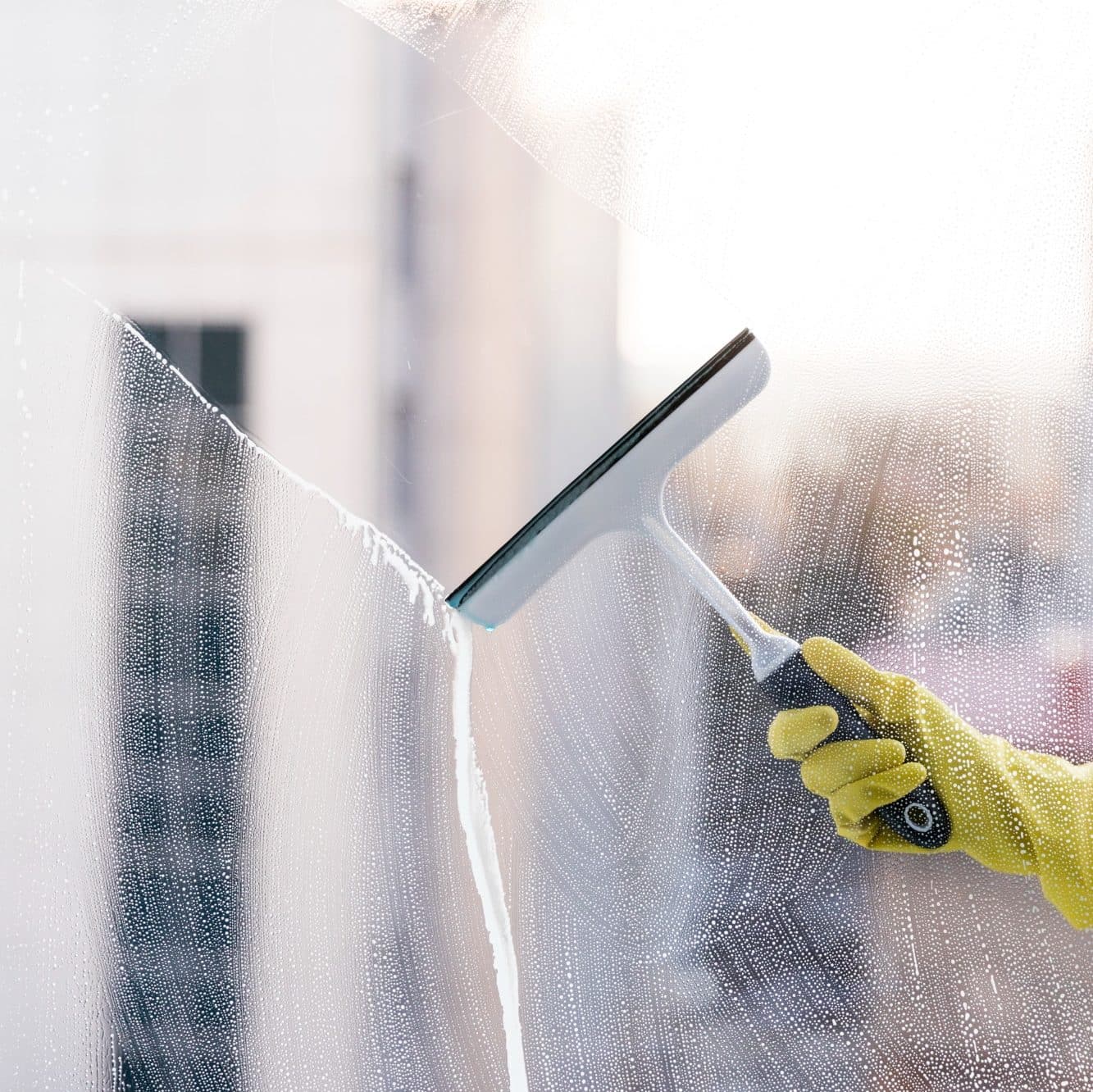 Fenster wird gereinigt