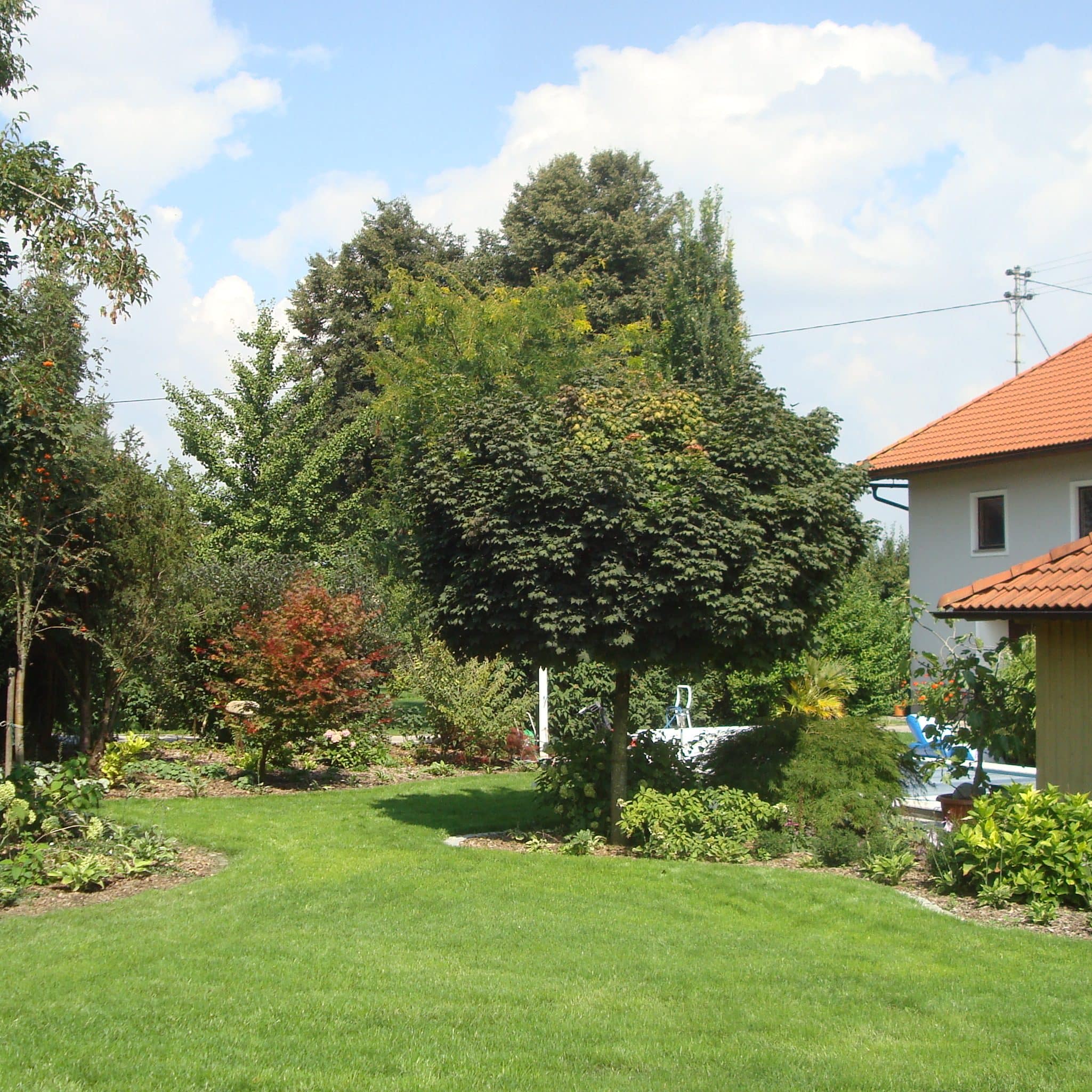 Gartengestaltung durch Waldgartenservice in Niederösterreich