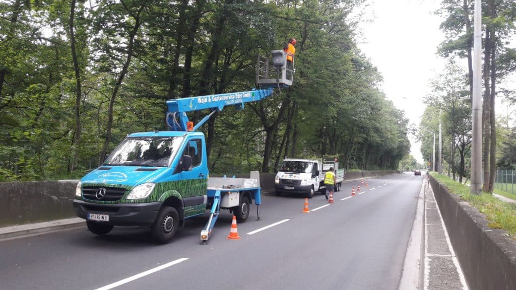 Baumbeschnitt Straße