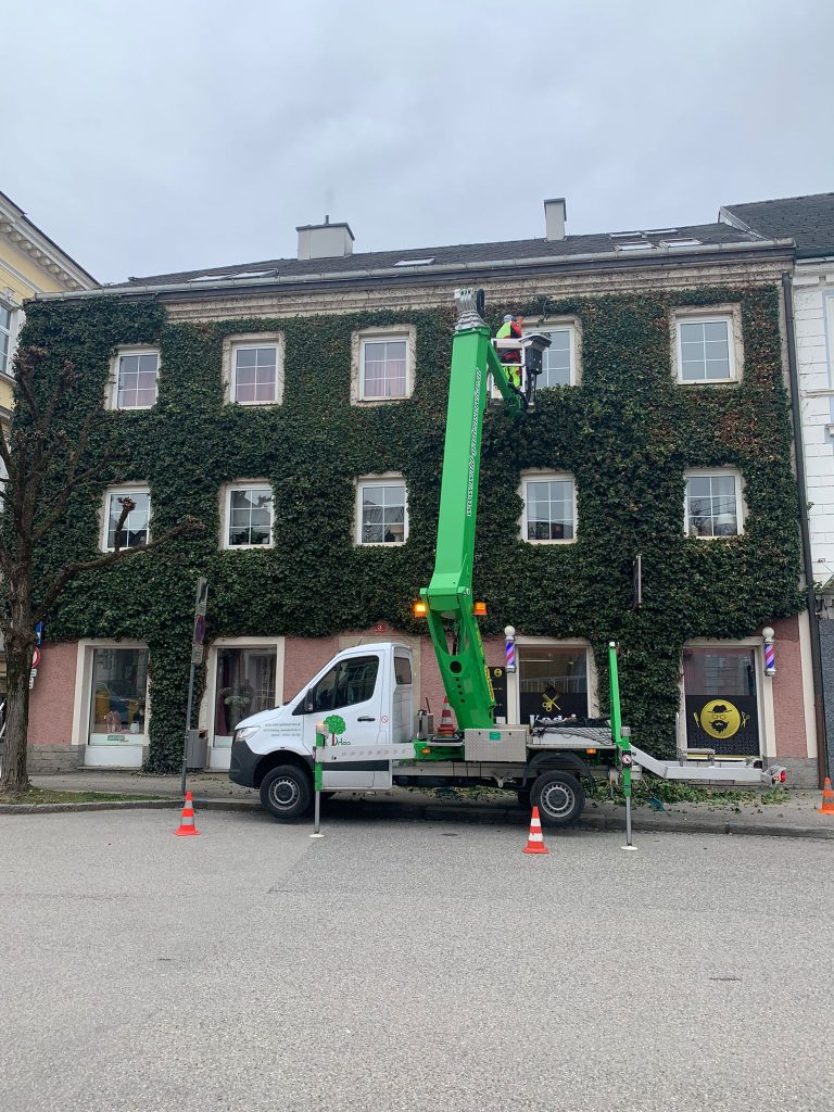 Haus mit Begrünung wird gepflegt