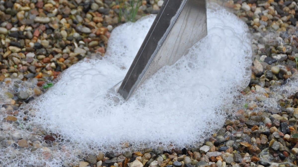 Umweltschonende Unkrautentfernung